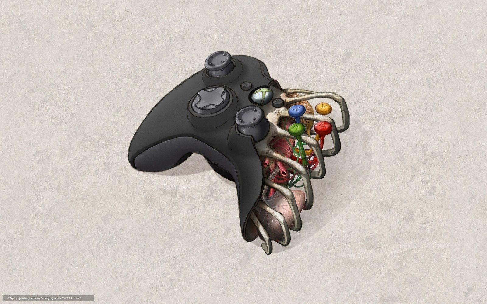 Xbox controller with organic internals