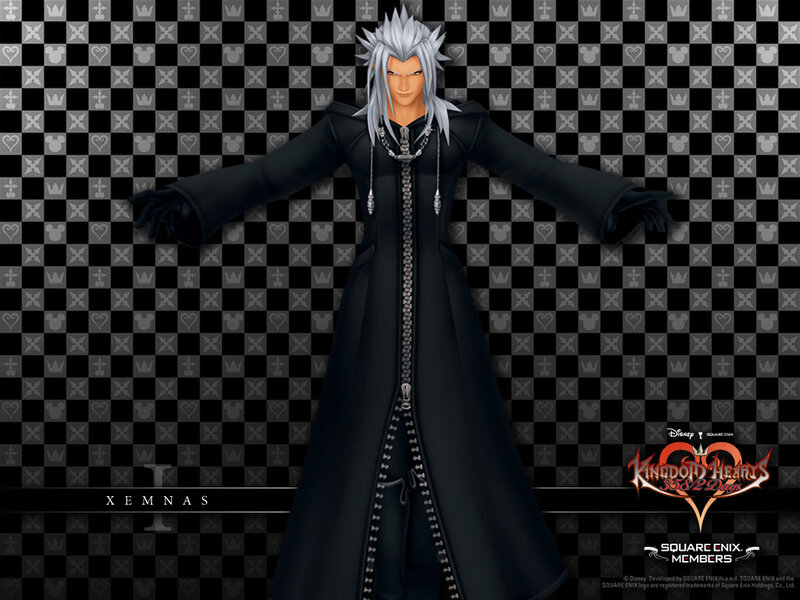 Xemnas Character