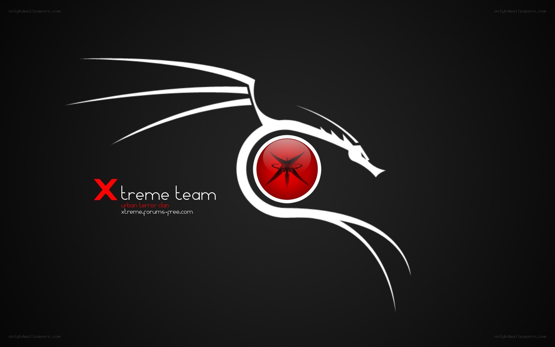 Xtreme Team logo design
