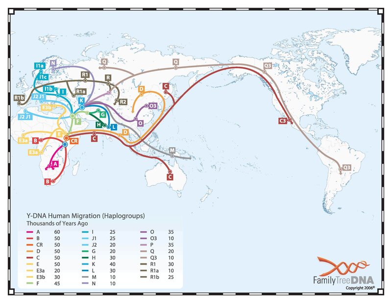 Y-DNA Human Migration Map