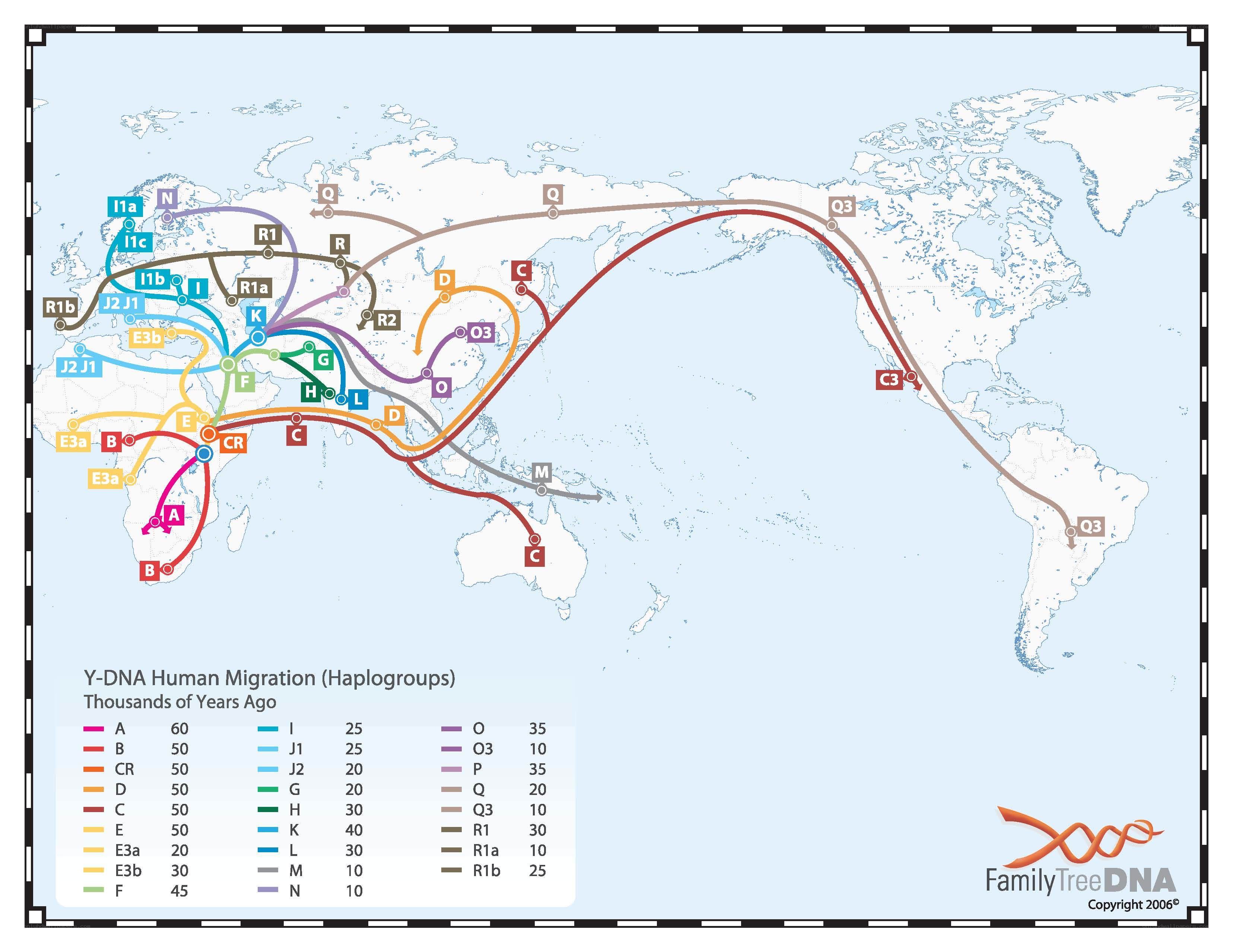 Y-DNA Human Migration Map