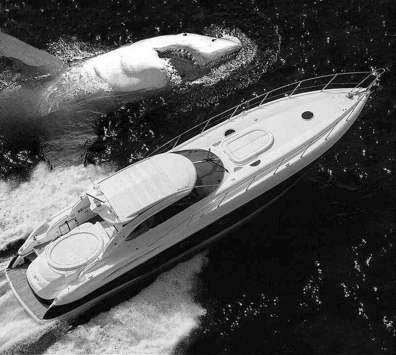 Yacht and shark in the ocean