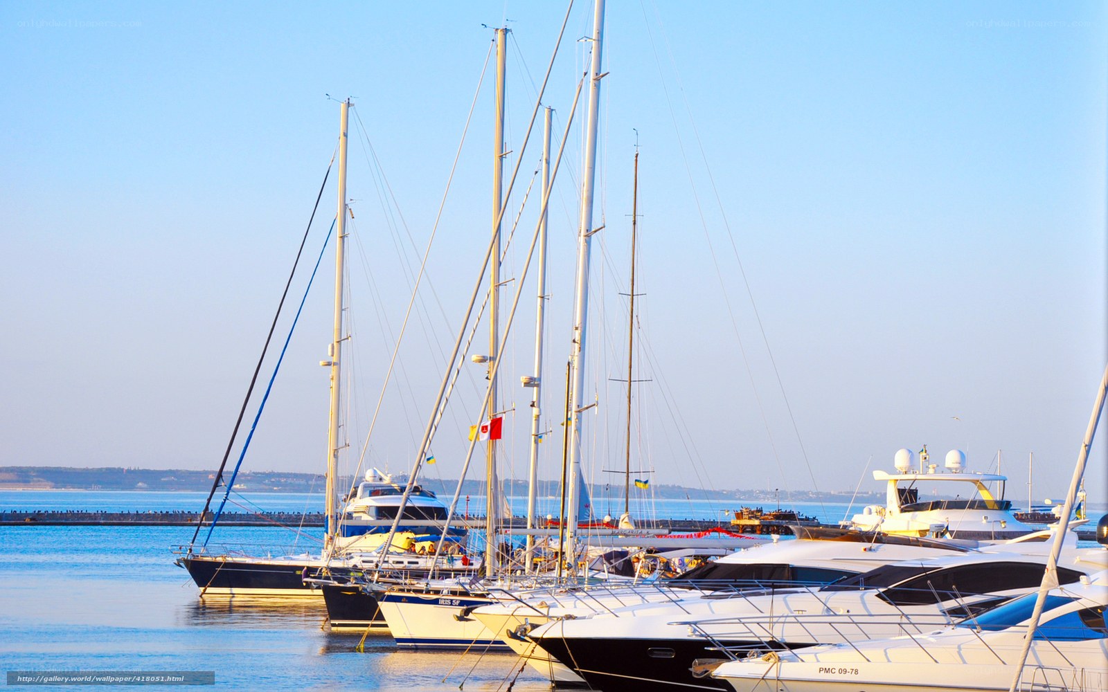 Yachts docked in a harbor