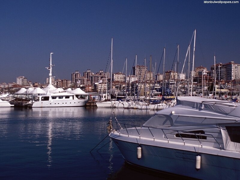 Yachts in Marina — Blue, Calm, Afternoon