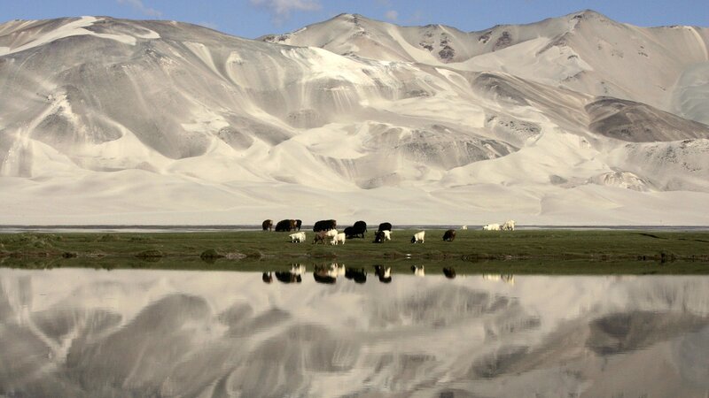 Yaks grazing by mountain lake