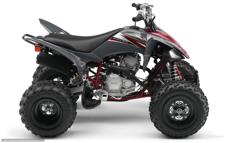 Yamaha ATV side profile