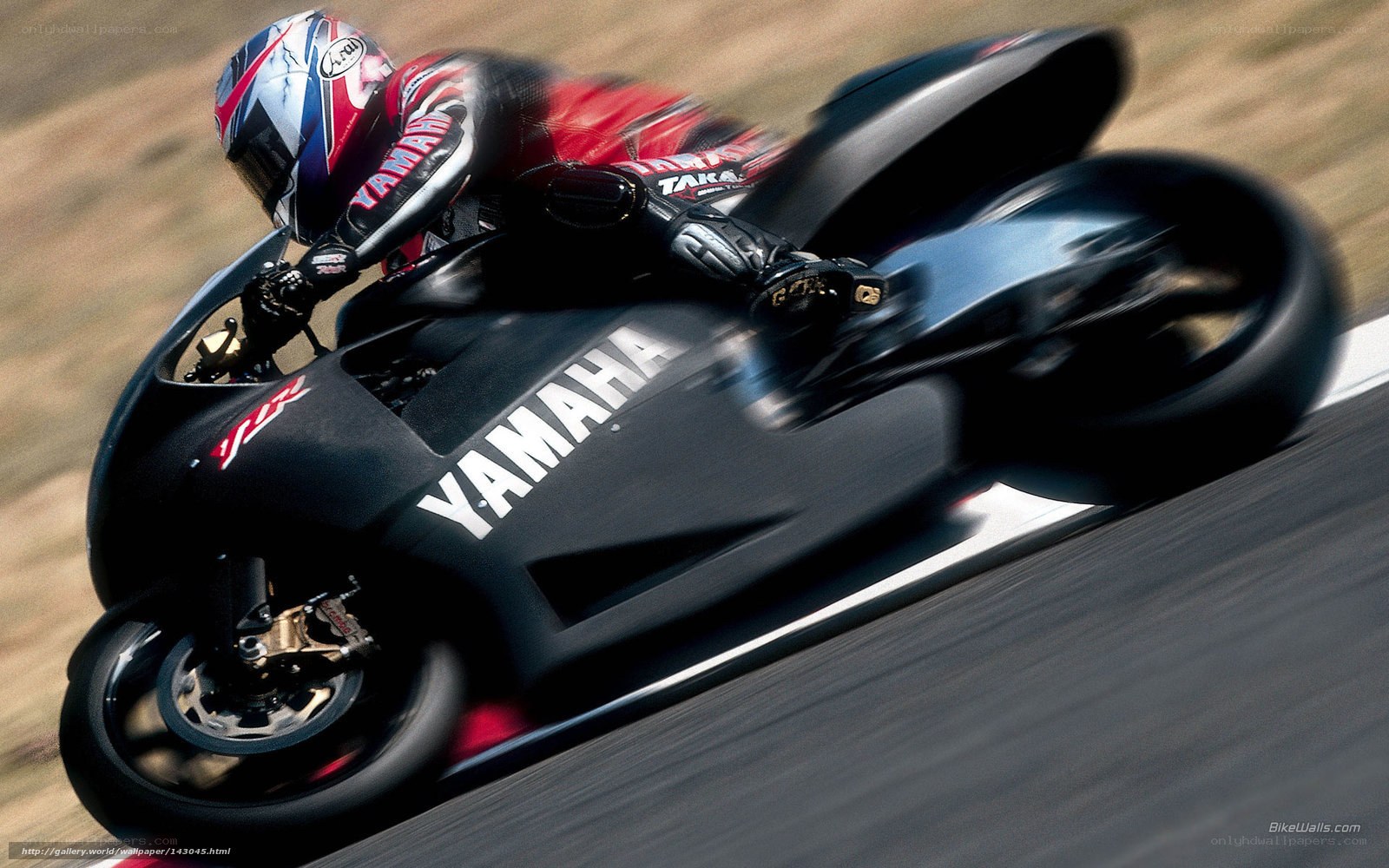 Yamaha motorcycle racer in action