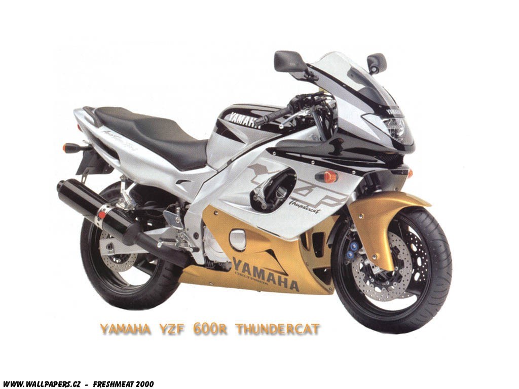 Yamaha YZF 600R Thundercat