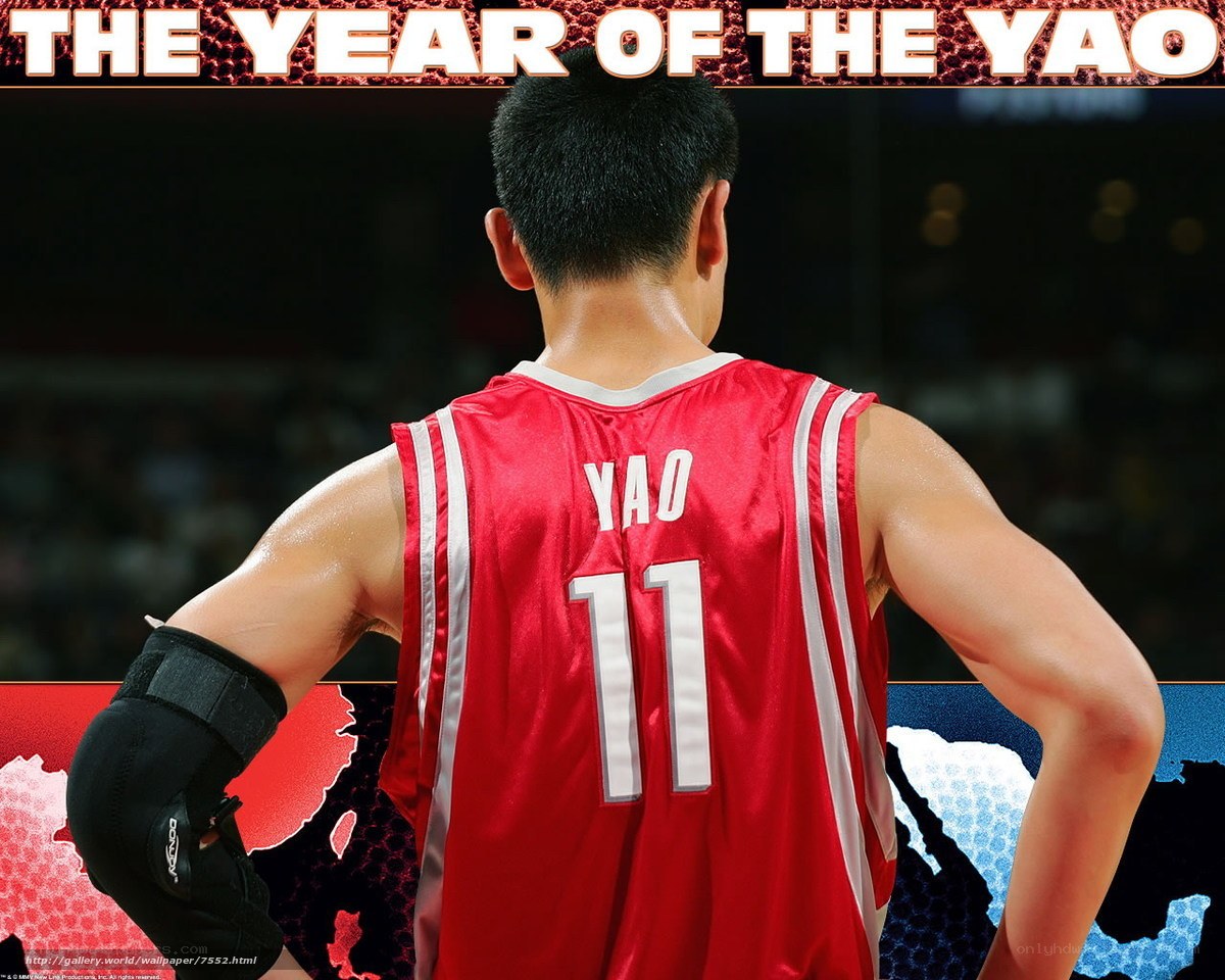 Yao Ming basketball player