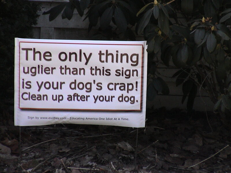 Yard Sign in Foliage