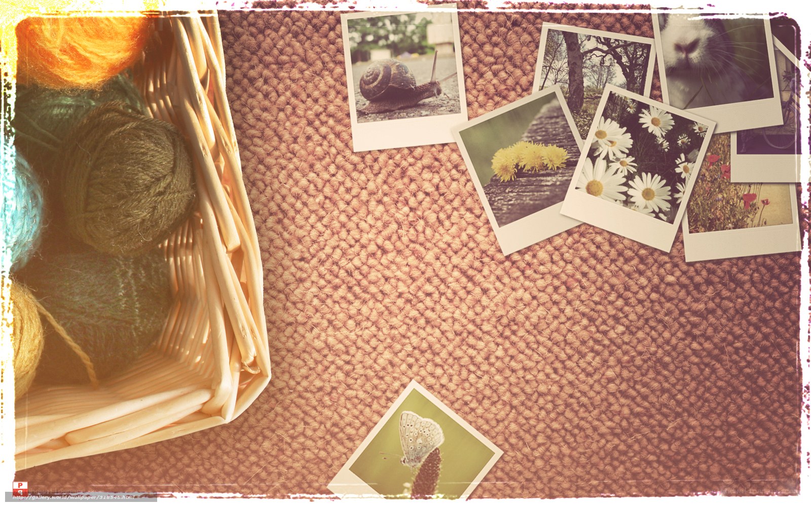 Yarn and photos on textured surface