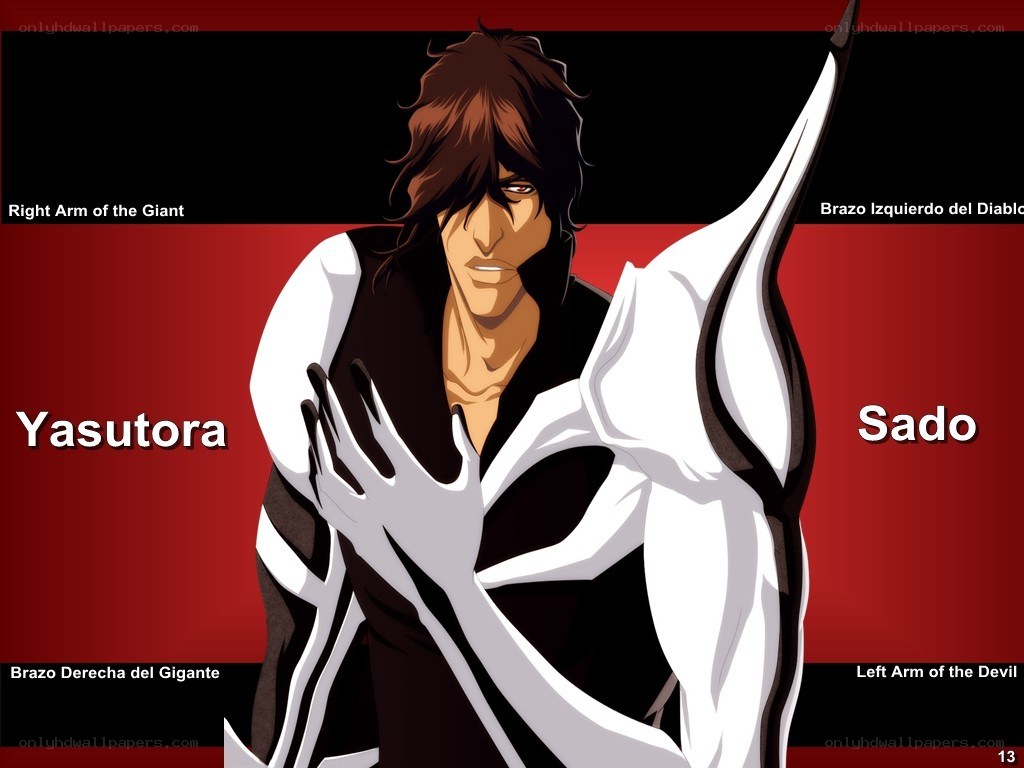 Yasutora Sado character art