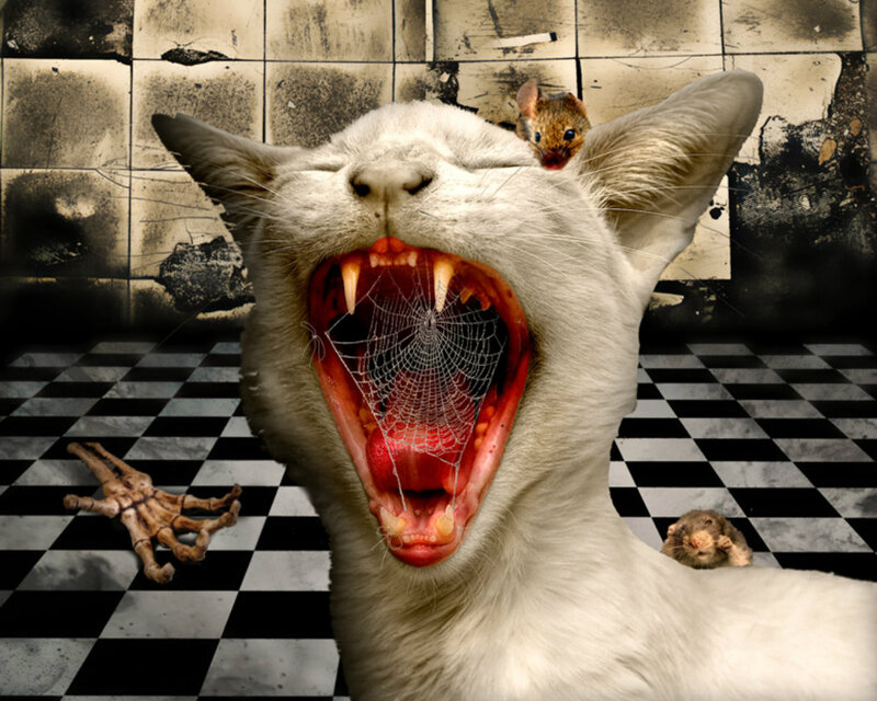 Yawning Cat with Mice