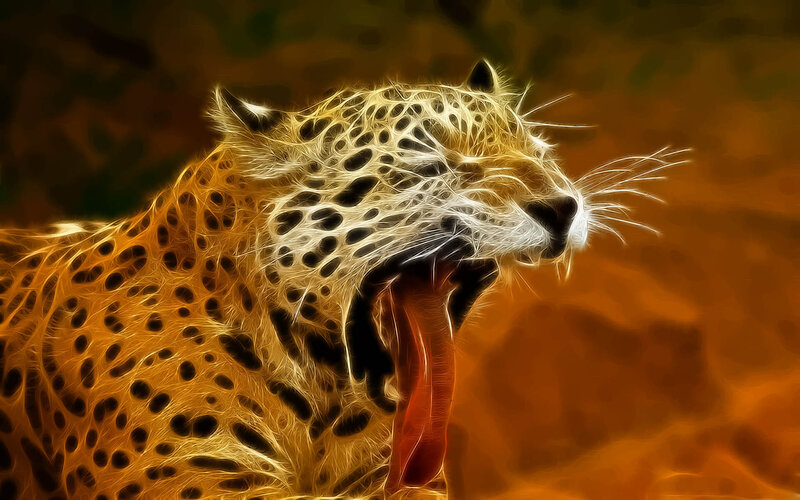 Yawning Jaguar
