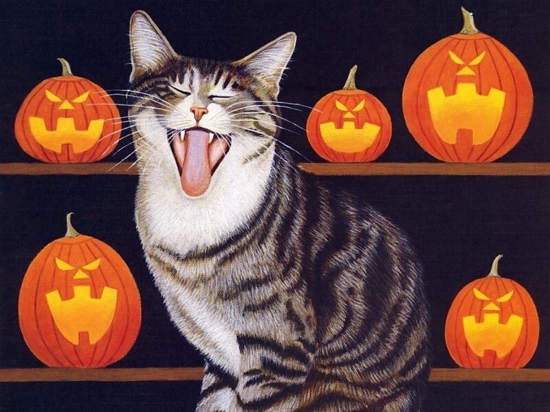 Yawning Tabby Cat — Black