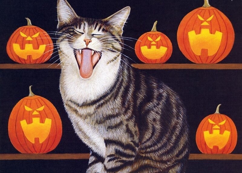 Yawning Tabby Cat — Orange