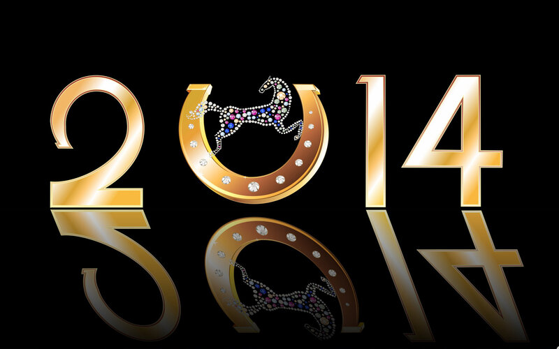 Year 2014 with Horse