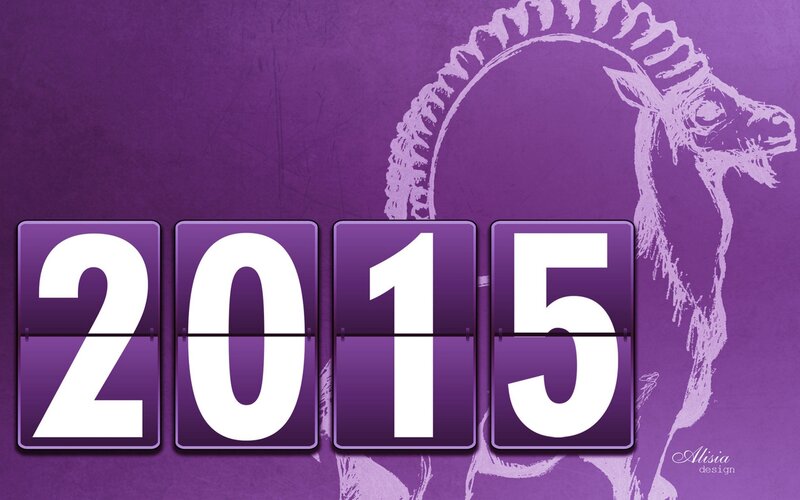 Year 2015 Display
