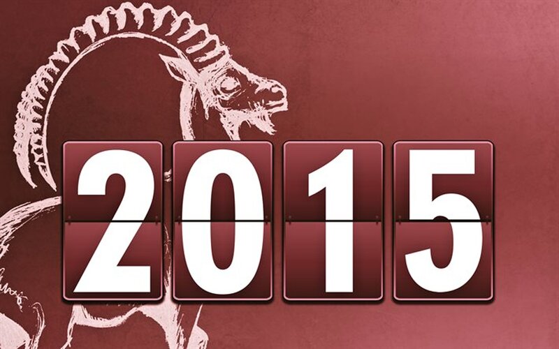 Year 2015 Sign