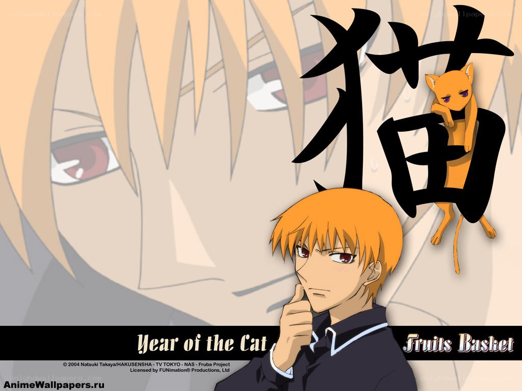 Year of the Cat wallpaper