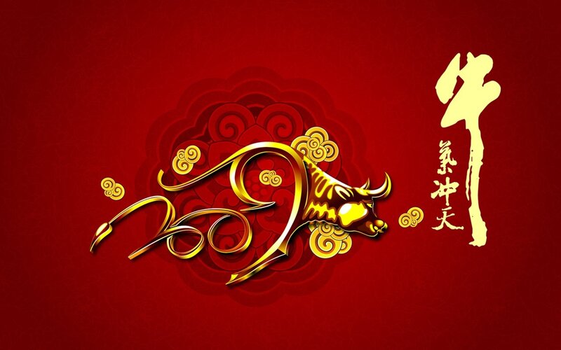 Year of the Ox celebration