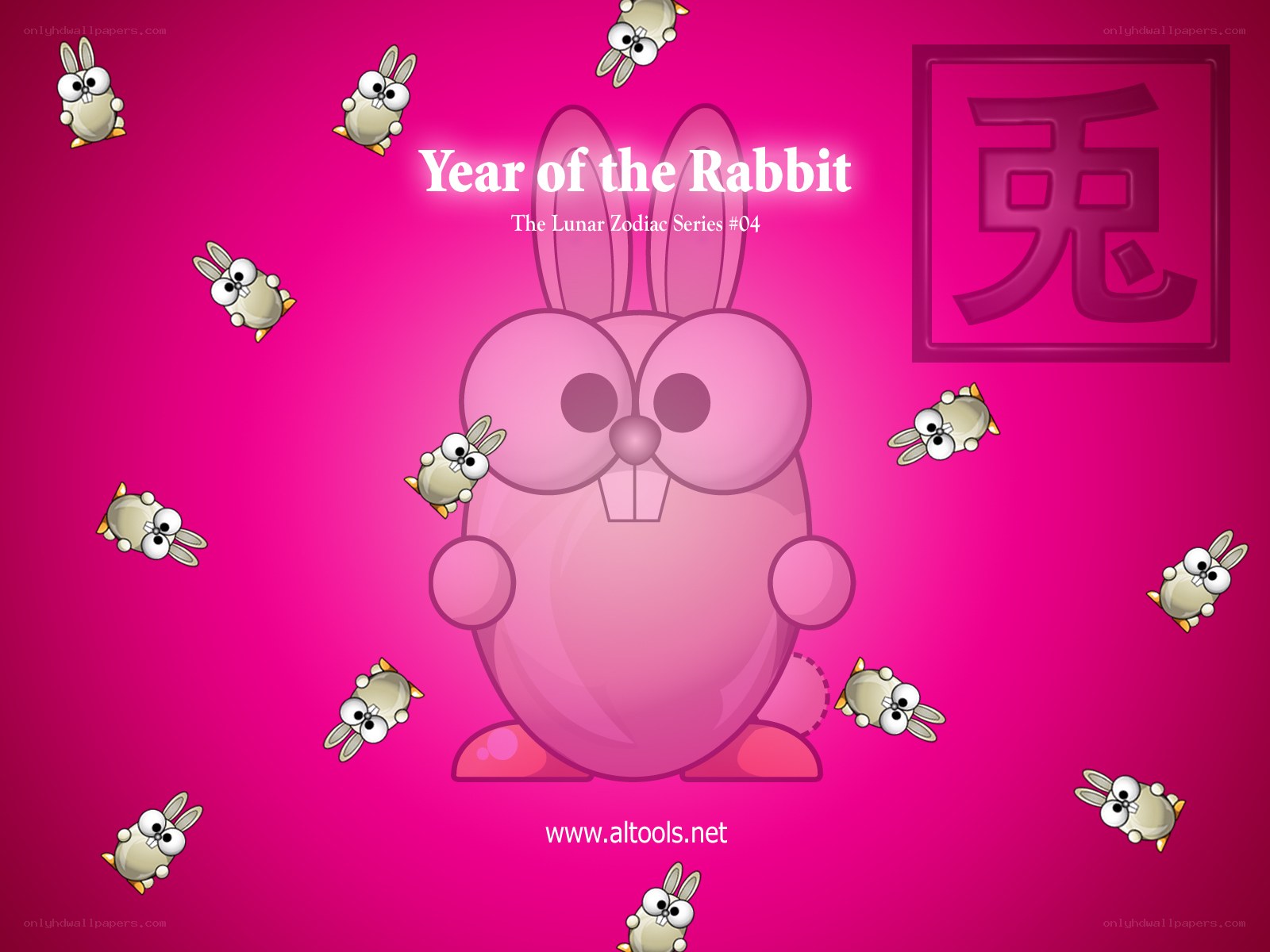 Year of the Rabbit