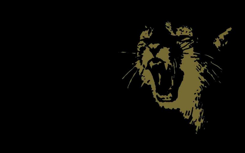 Yelling Cat Head