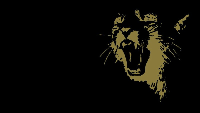Yelling Cougar Head