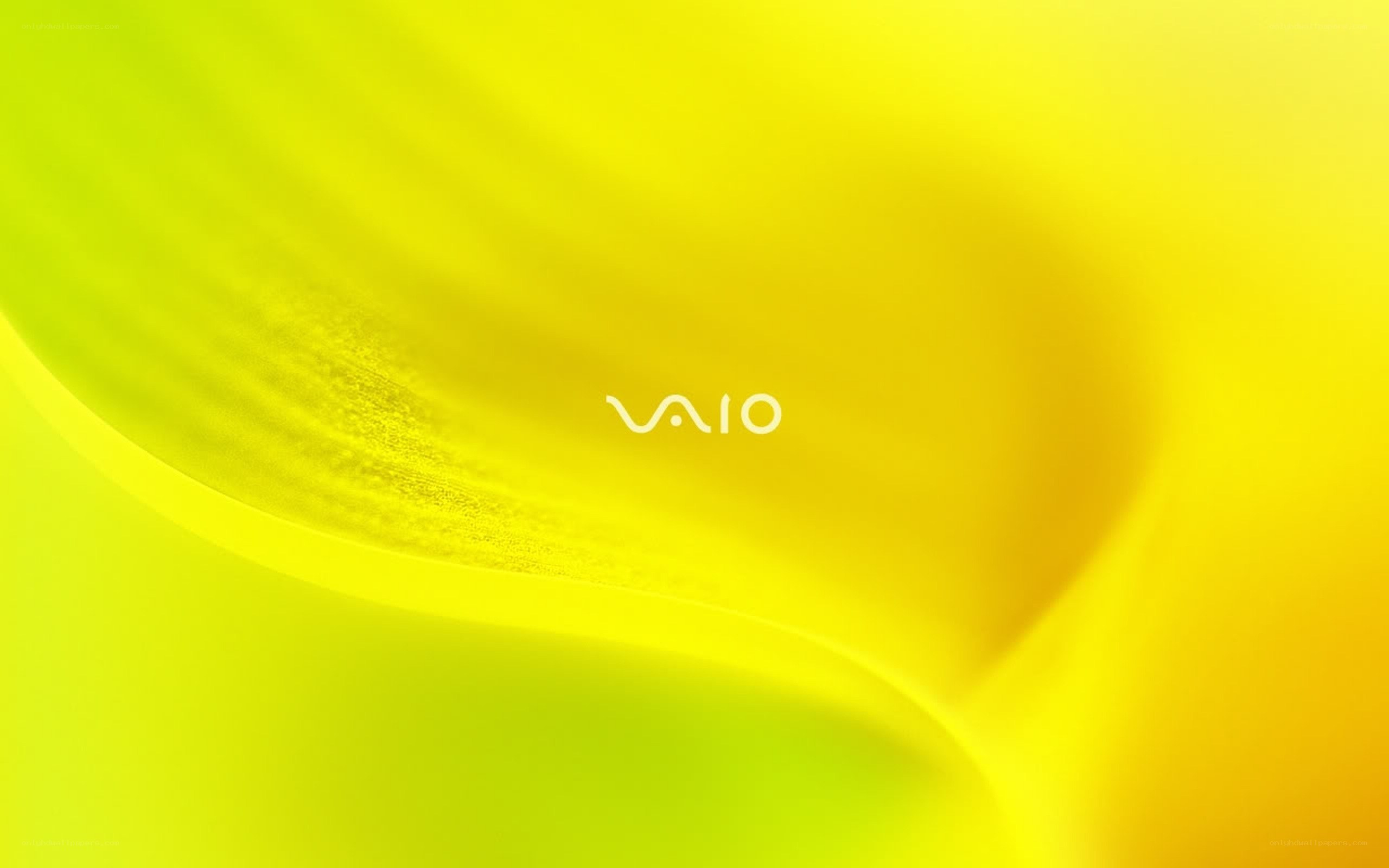 Yellow abstract flower background