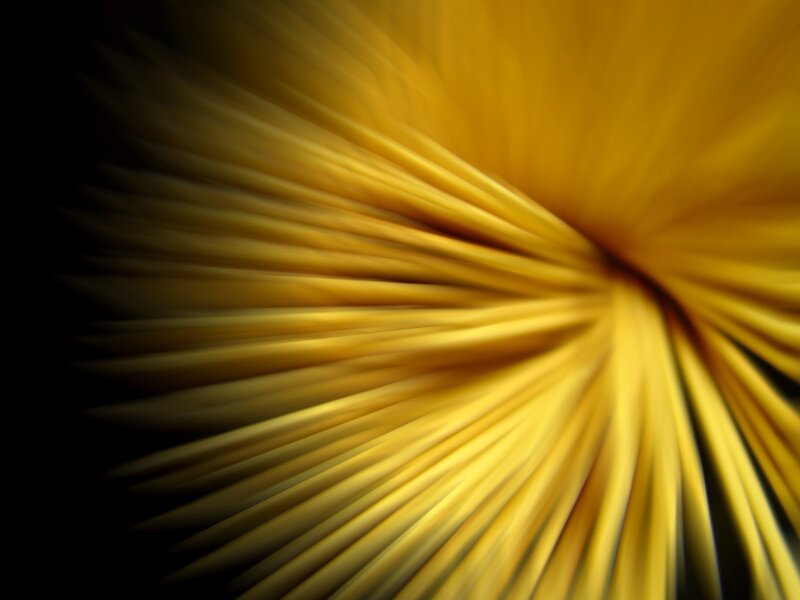 Yellow Abstract Pattern — Dramatic