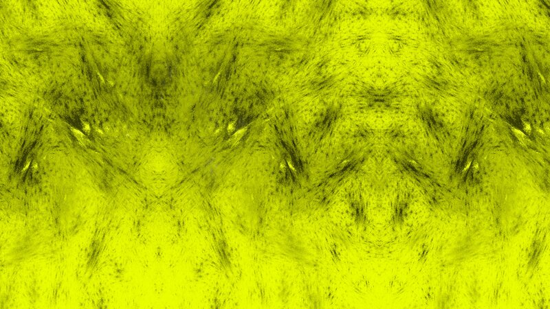 Yellow Abstract Pattern — Textured