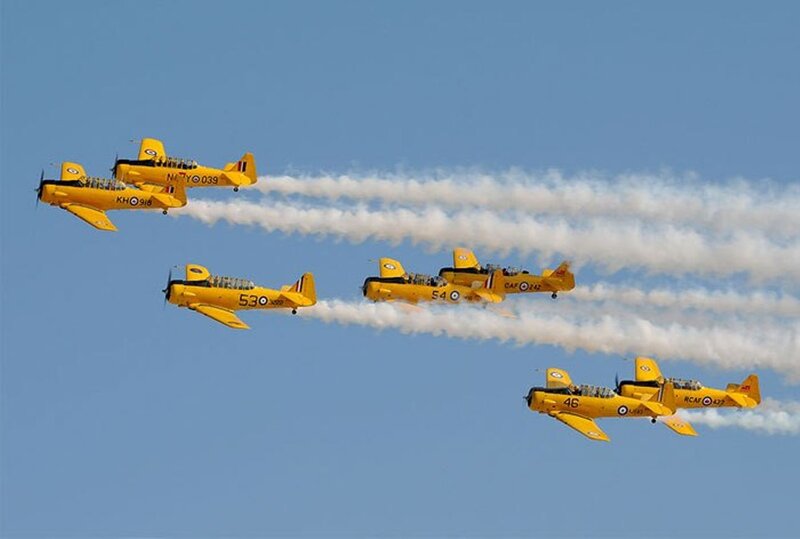 Yellow Aerobatic Planes