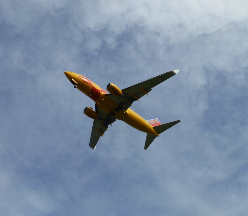 Yellow Airplane in Flight — Dynamic