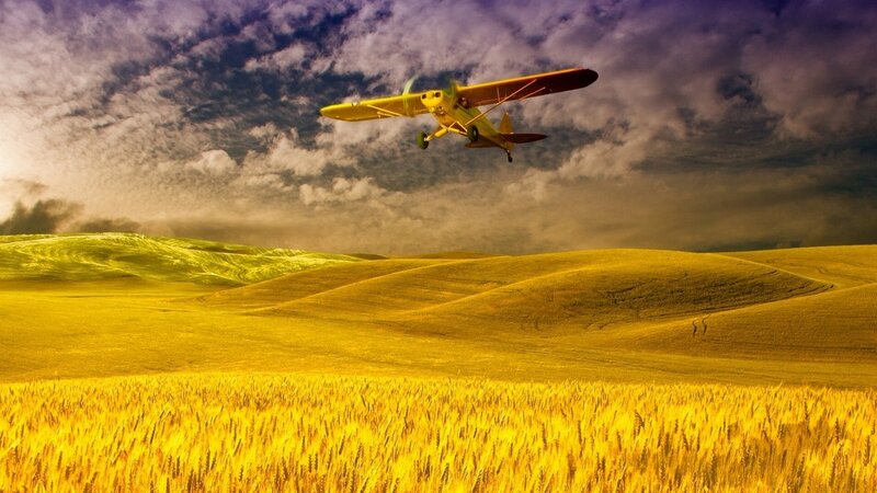 Yellow Airplane over Field