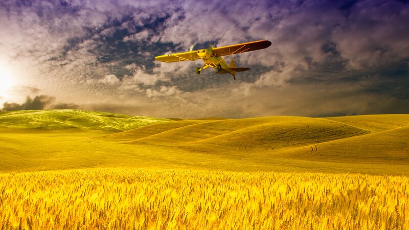 Yellow Airplane over Fields