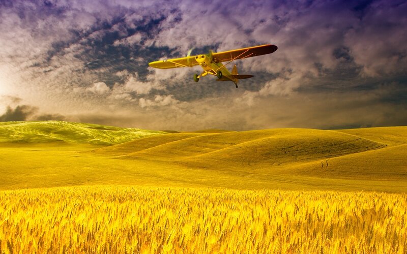 Yellow Airplane over Wheat Field — Dramatic