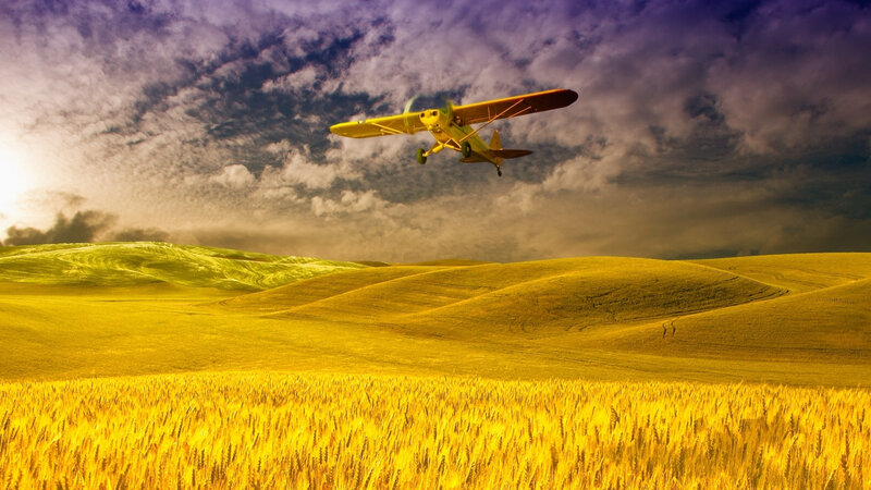 Yellow Airplane over Wheat Field