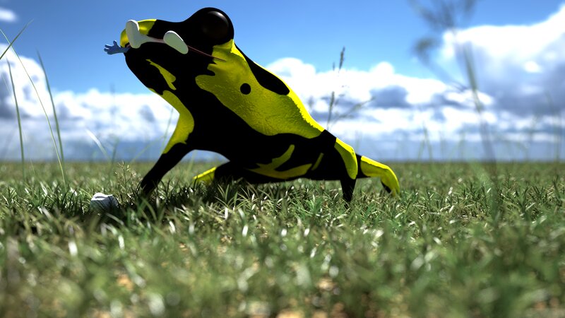 Yellow and Black Frog — Green, Outdoor