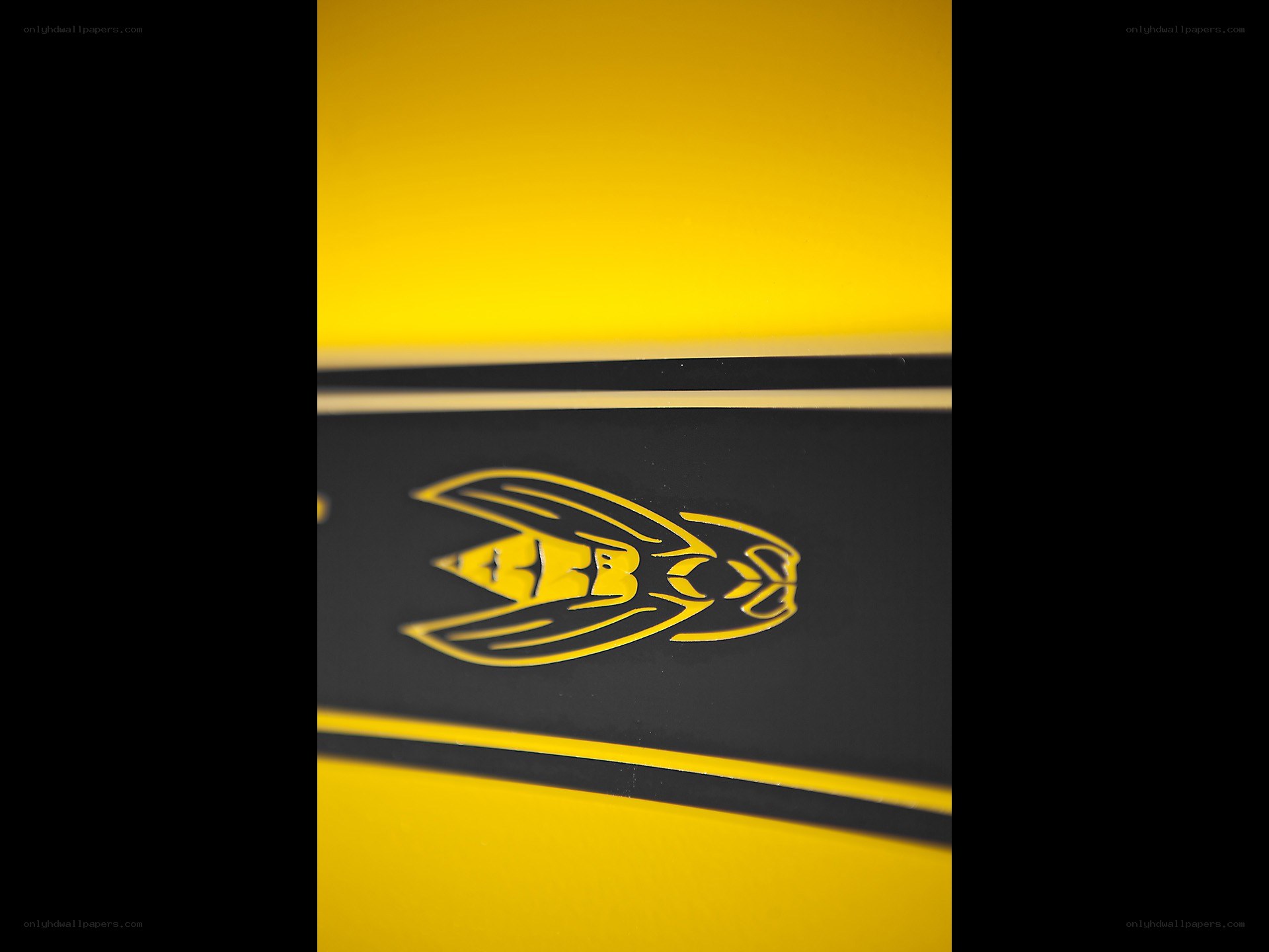 yellow and black logo close-up