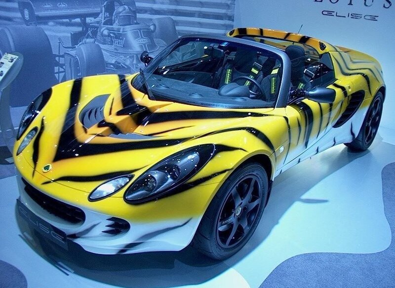 Yellow and black Lotus Elise