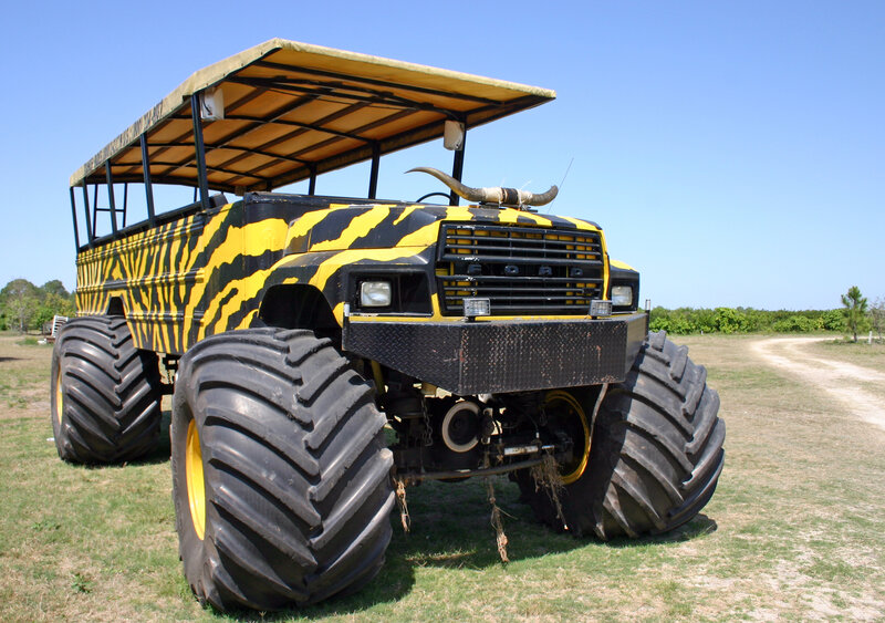 yellow and black monster truck