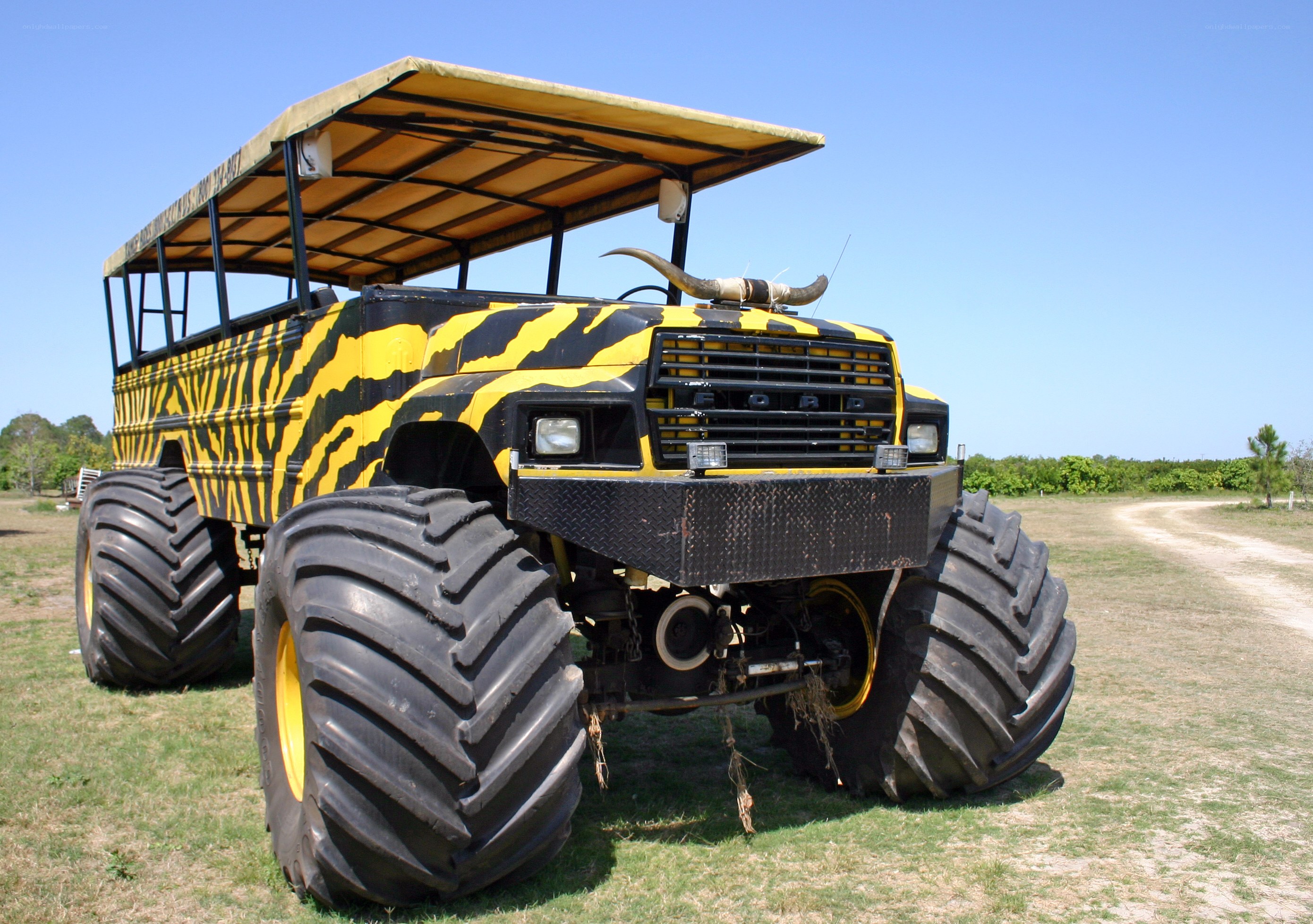 yellow and black monster truck