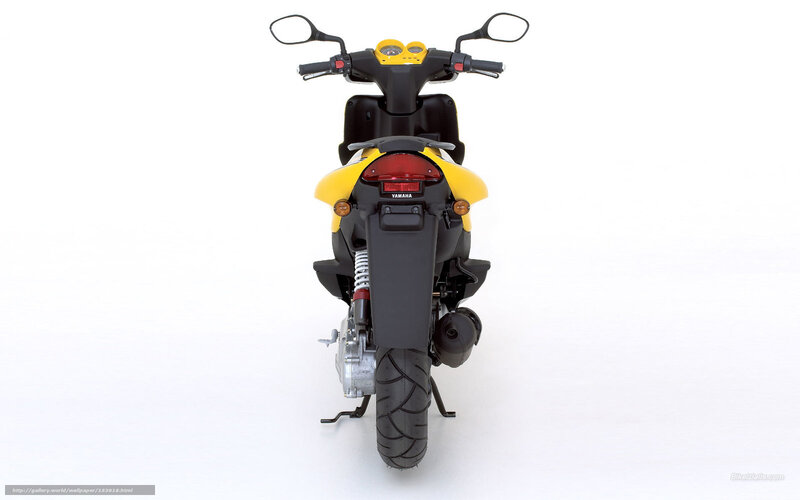 Yellow and Black Scooter — Neutral, Photograph, Rear View