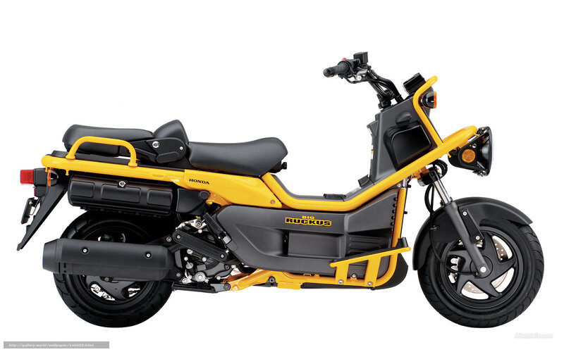 Yellow and Black Scooter — Neutral, Photograph, Seat, Handlebars, Exhaust