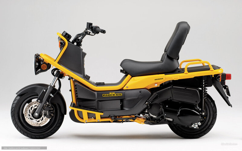 Yellow and Black Scooter — Neutral, Photograph, Seat, Handlebars, Rear Rack