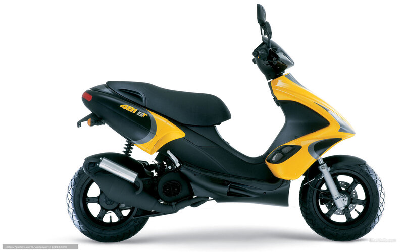 Yellow and Black Scooter — Neutral