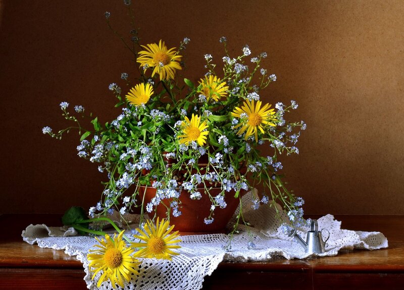 Yellow and Blue Flowers — Calm, Photograph