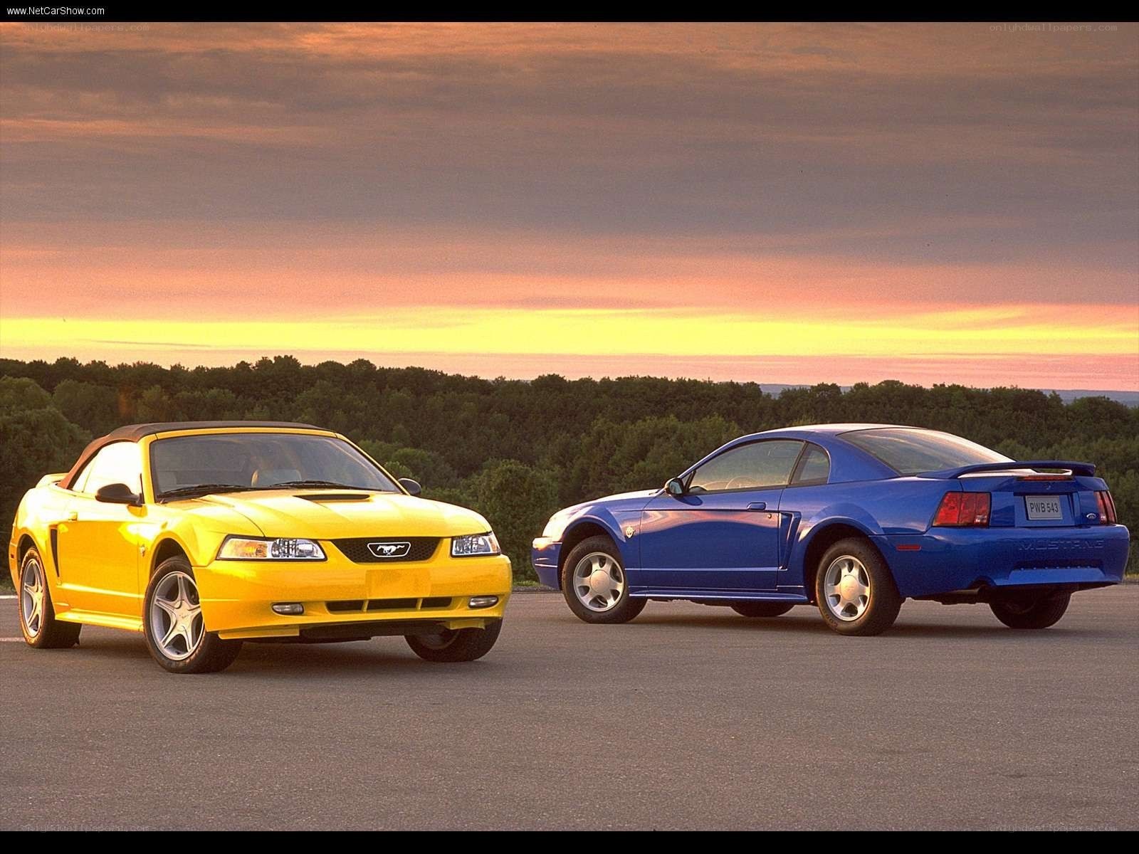 Yellow and blue Mustangs at sunset