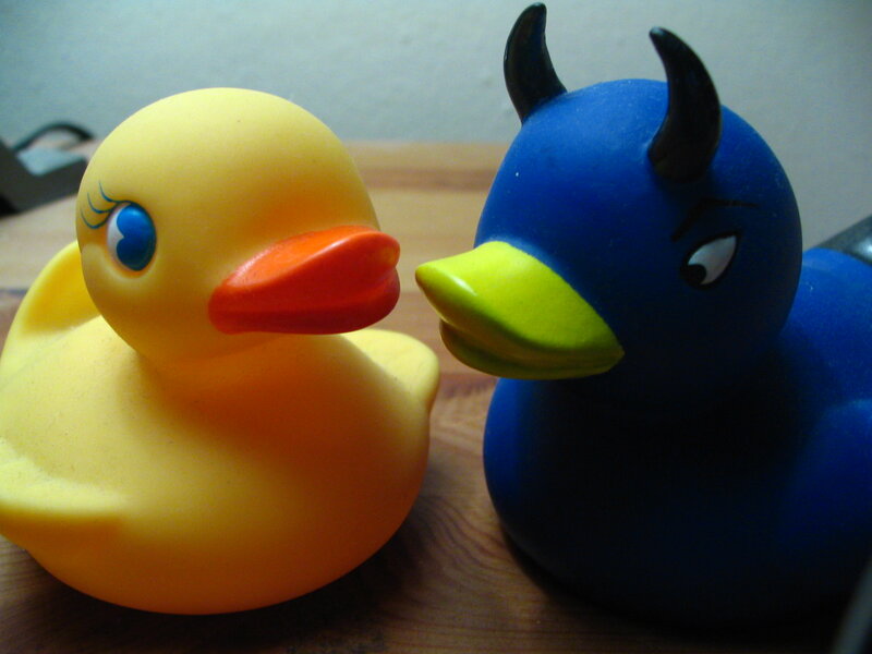 Yellow and Blue Rubber Ducks