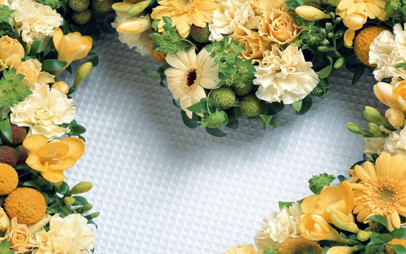 Yellow and Cream Flowers — Calm